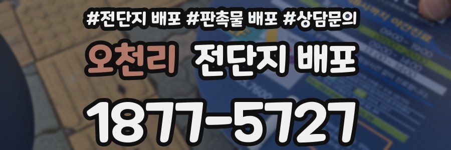 오천리 전단지 배포