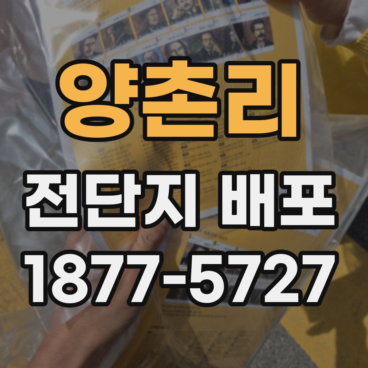 양촌리 전단지 배포