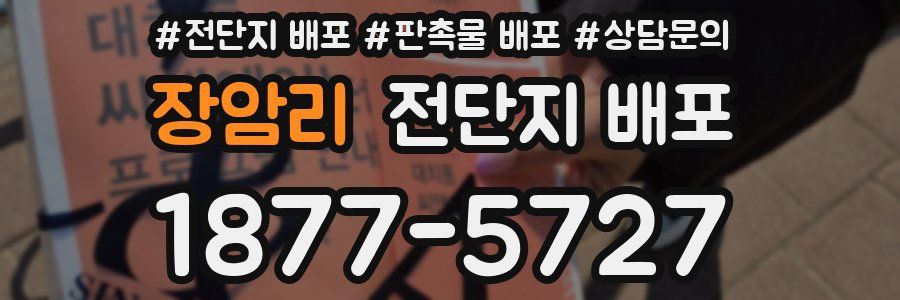 장암리 전단지 배포