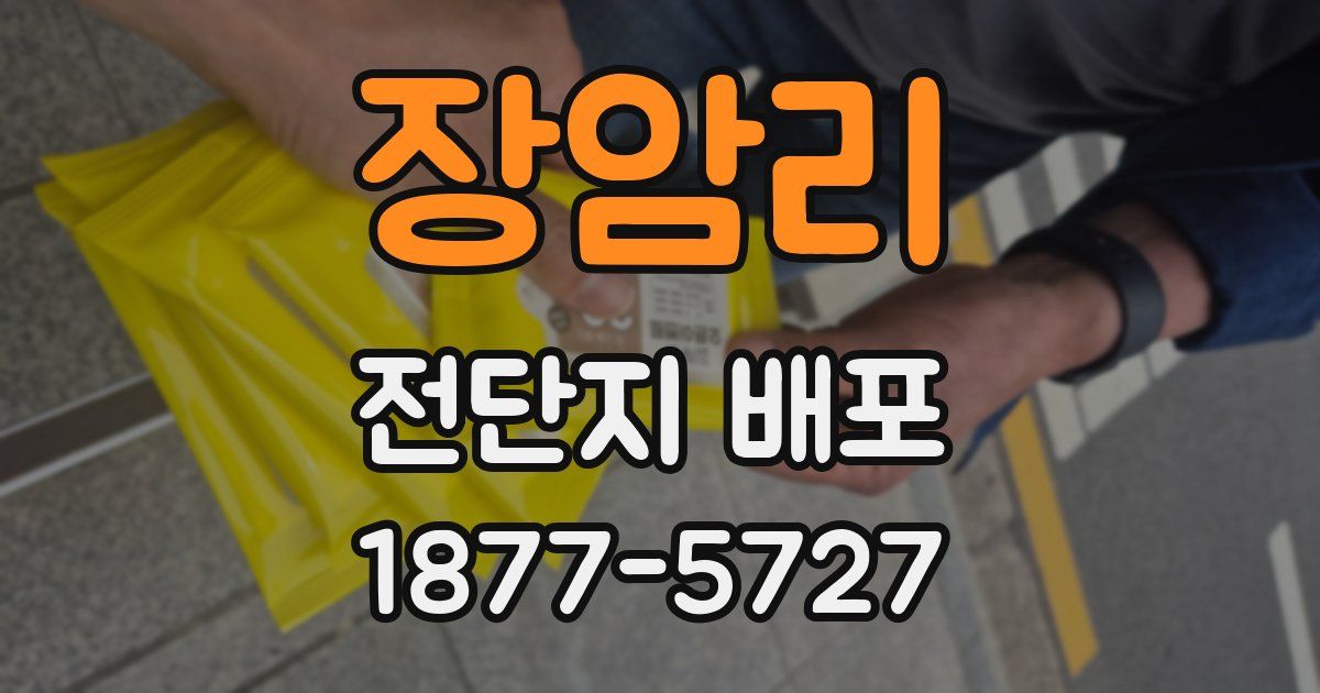 장암리 전단지 배포