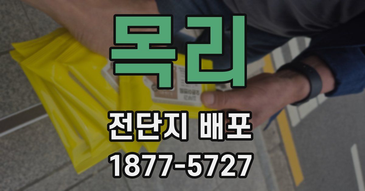 목리 전단지 배포