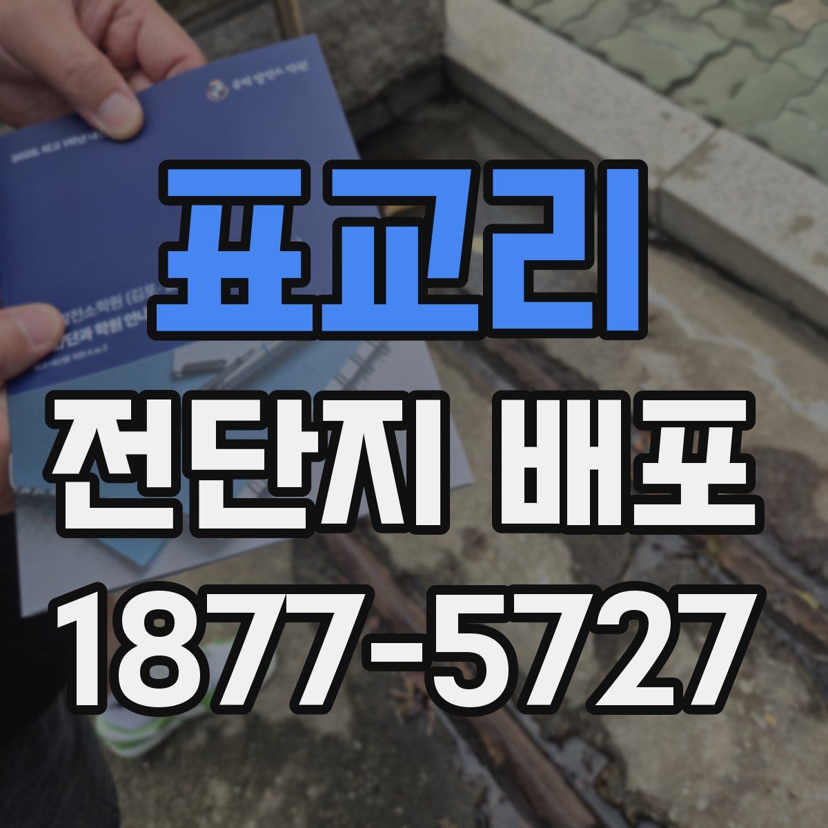 표교리 전단지 배포