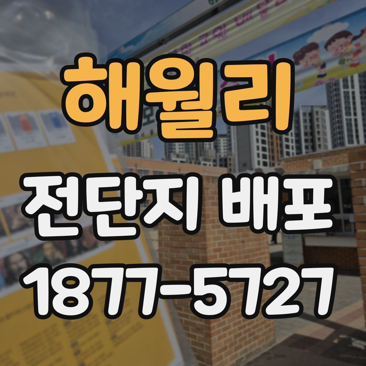 해월리 전단지 배포