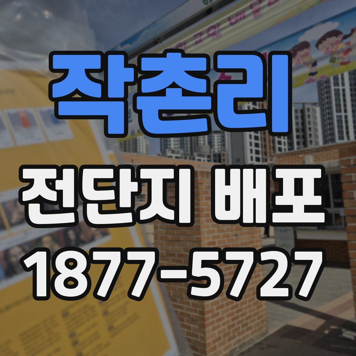 작촌리 전단지 배포