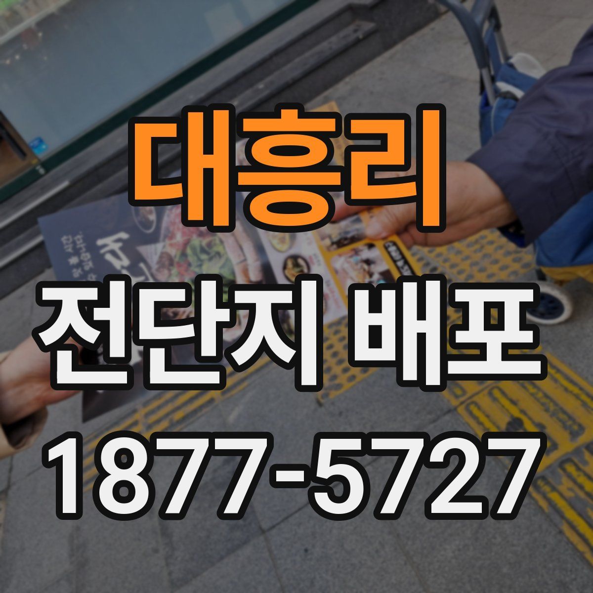 대흥리 전단지 배포