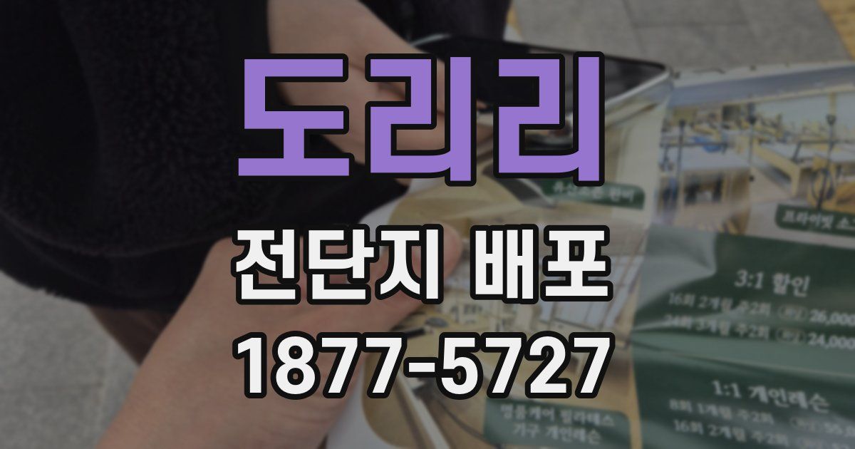 도리리 전단지 배포