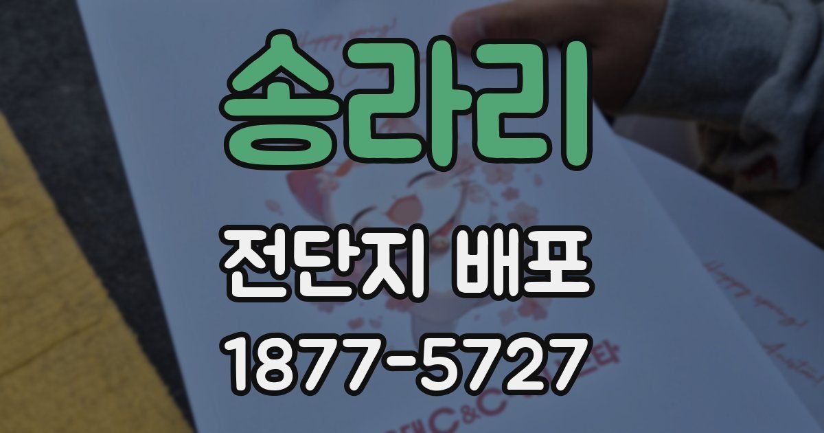 송라리 전단지 배포