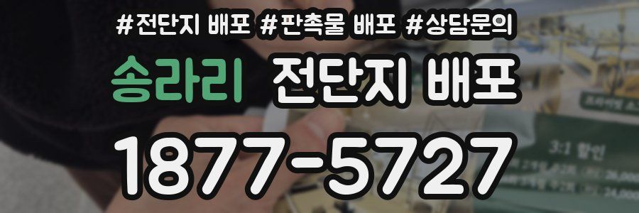 송라리 전단지 배포