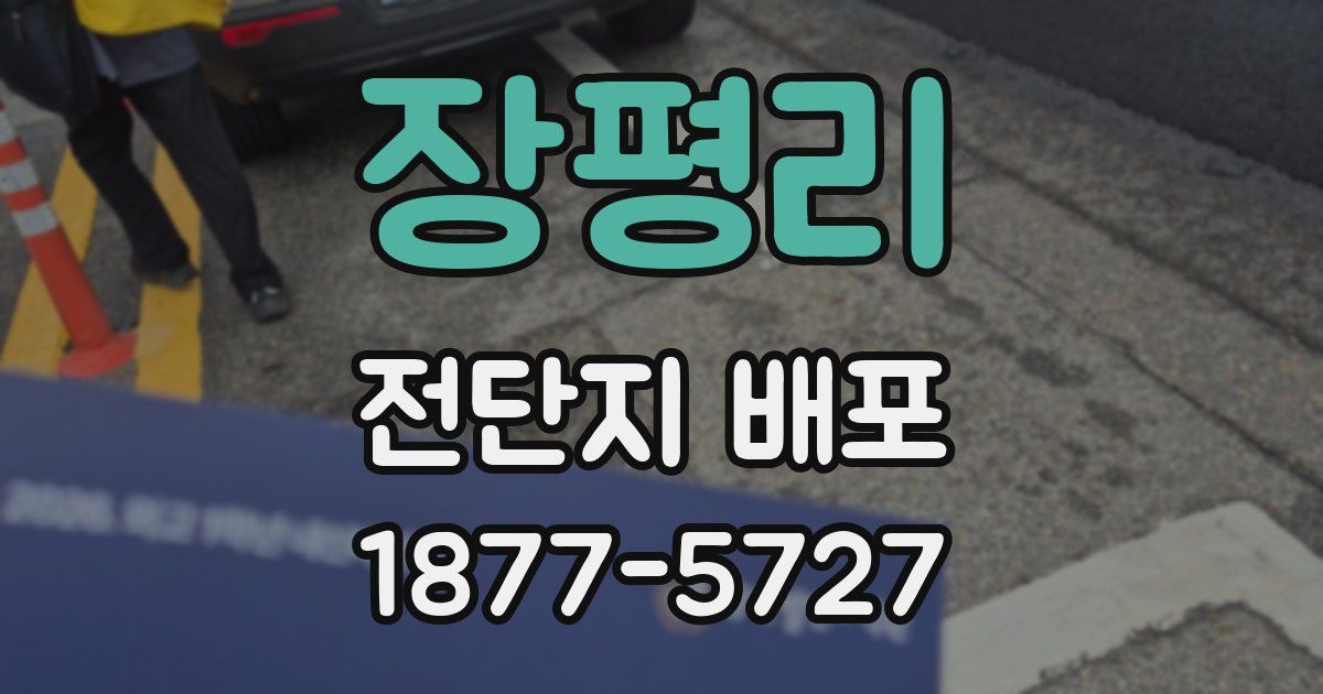 장평리 전단지 배포