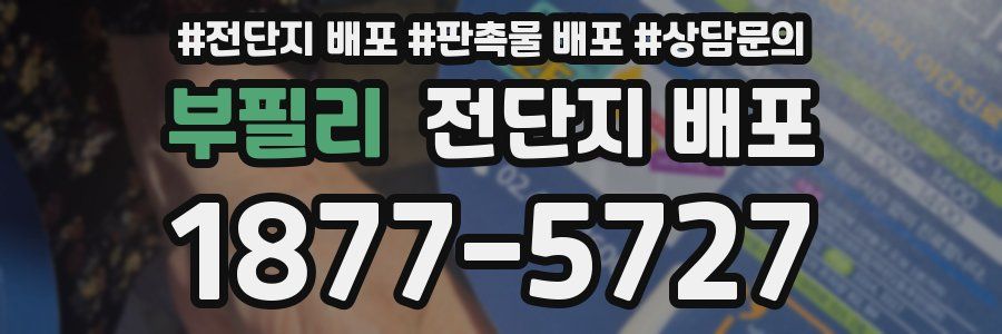 부필리 전단지 배포