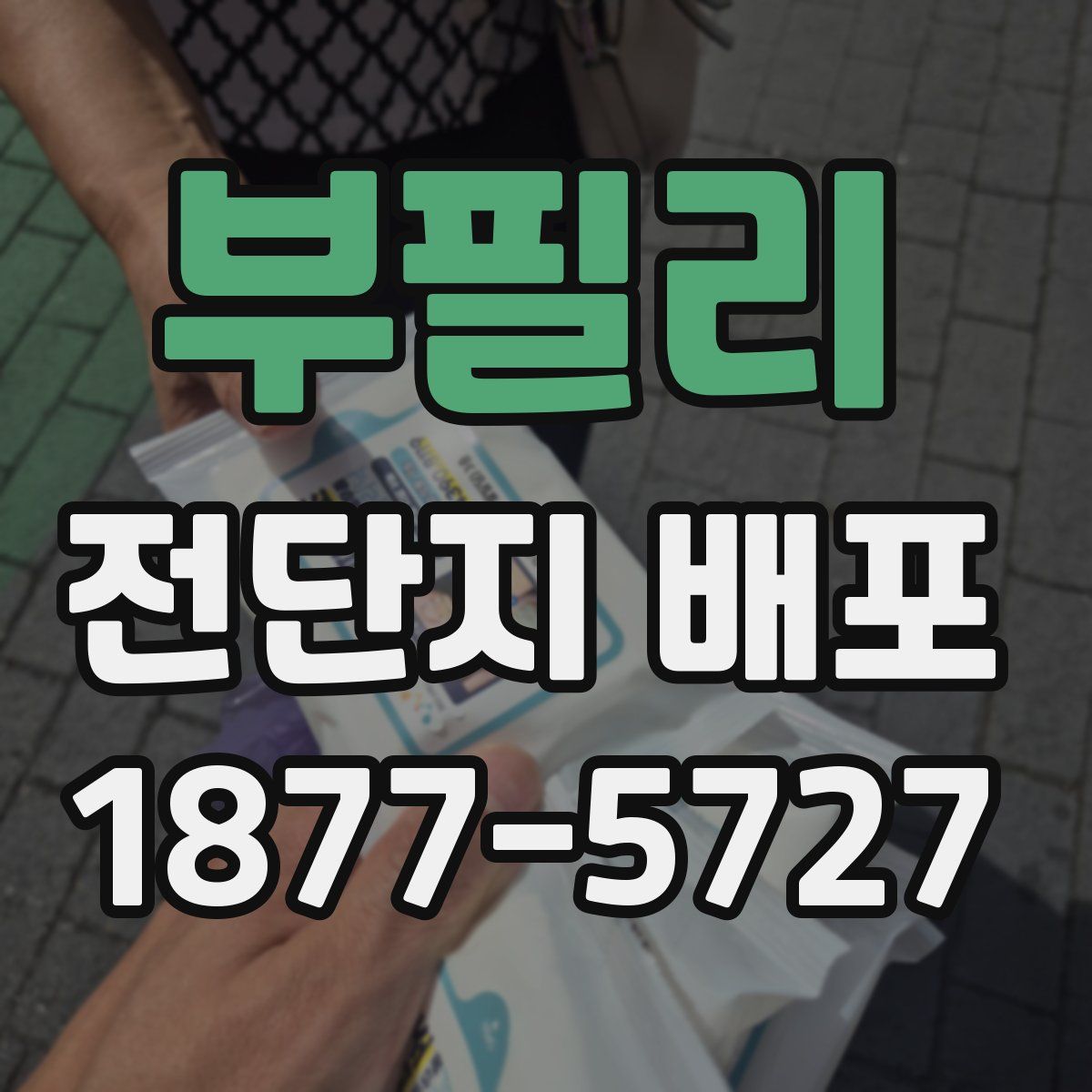 부필리 전단지 배포