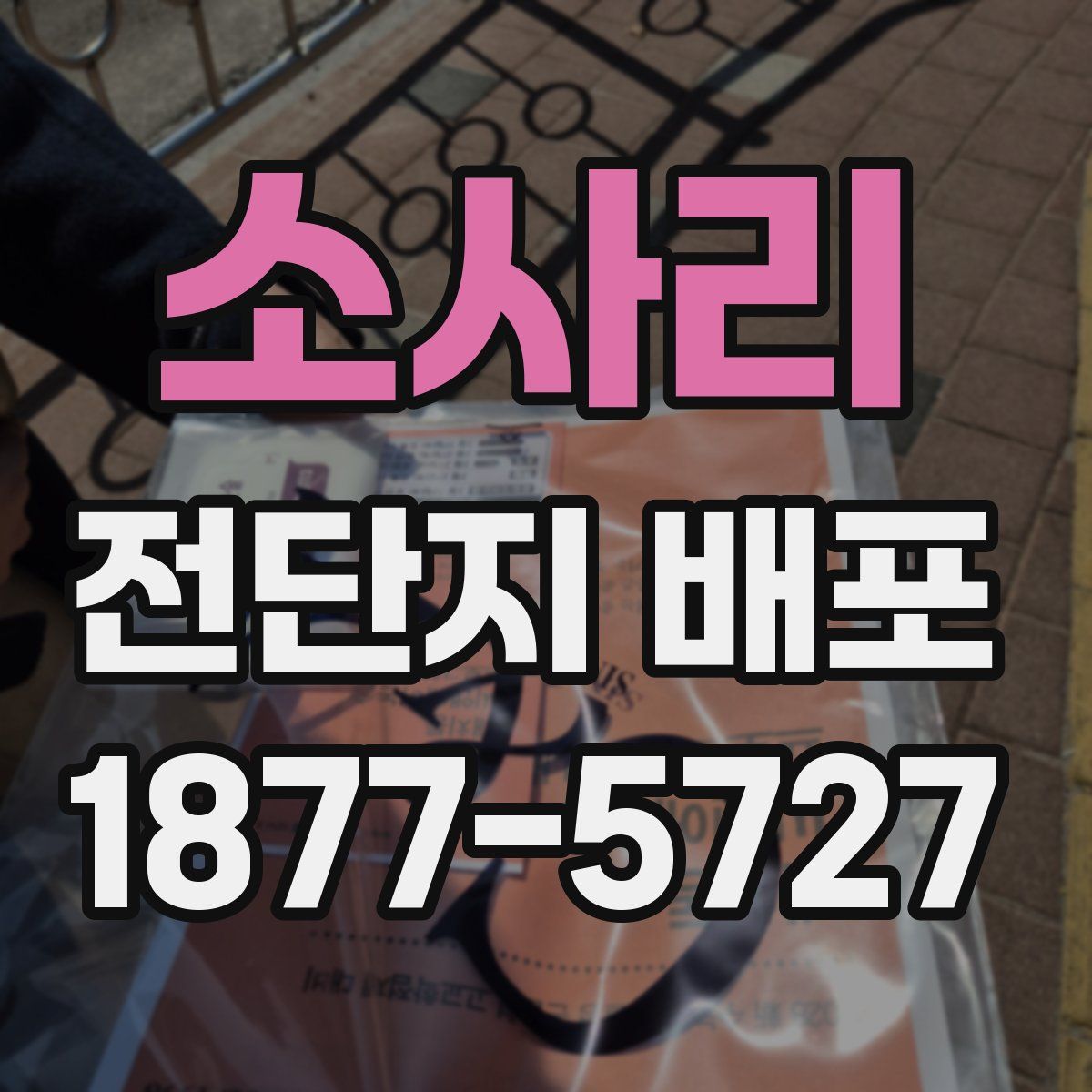 소사리 전단지 배포