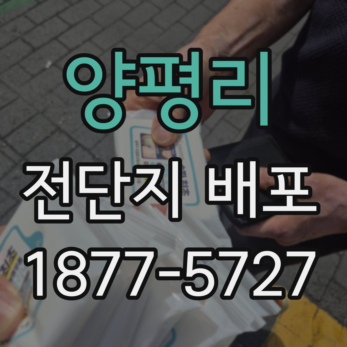 양평리 전단지 배포