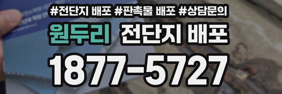 원두리 전단지 배포