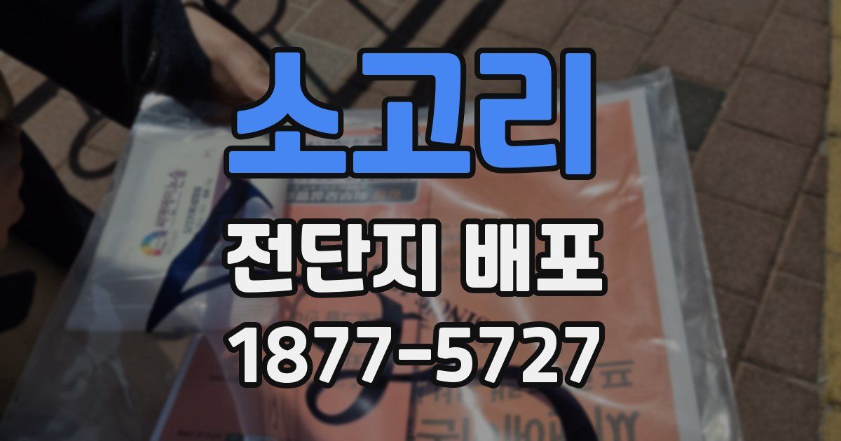 소고리 전단지 배포