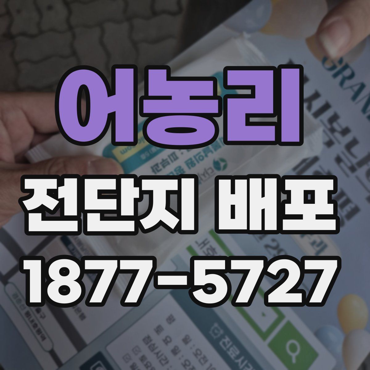 어농리 전단지 배포
