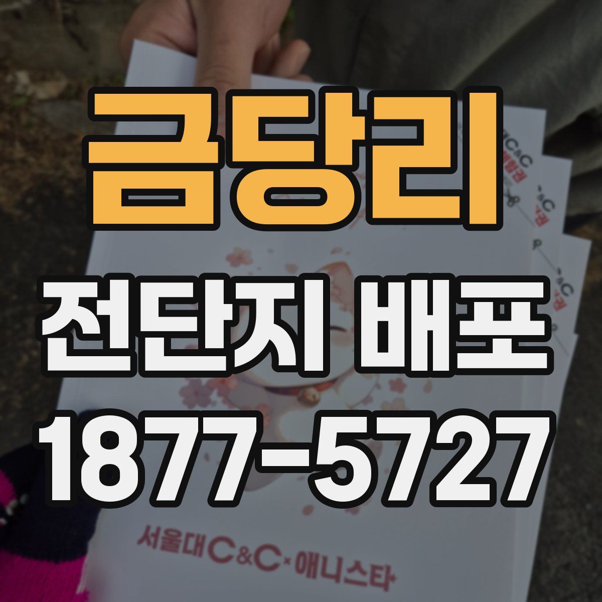금당리 전단지 배포
