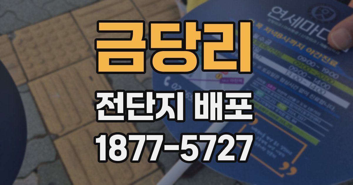 금당리 전단지 배포