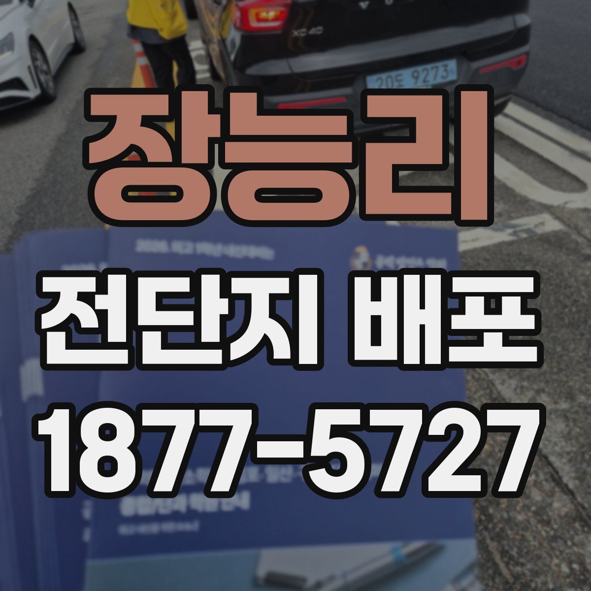 장능리 전단지 배포