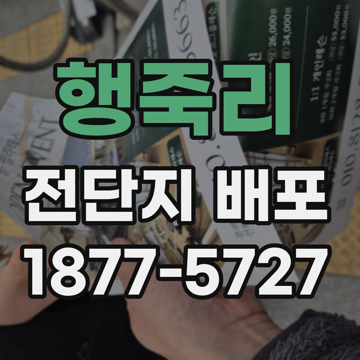 행죽리 전단지 배포