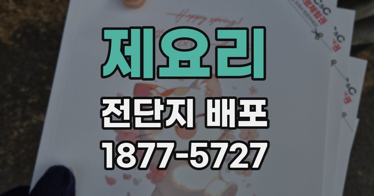제요리 전단지 배포