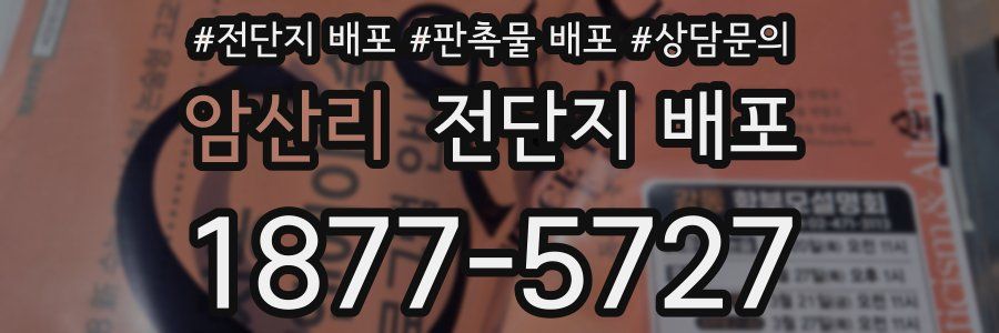 암산리 전단지 배포