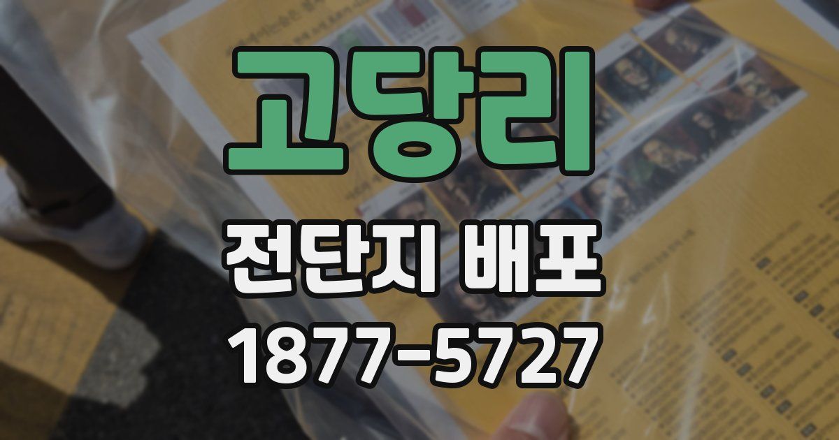 고당리 전단지 배포