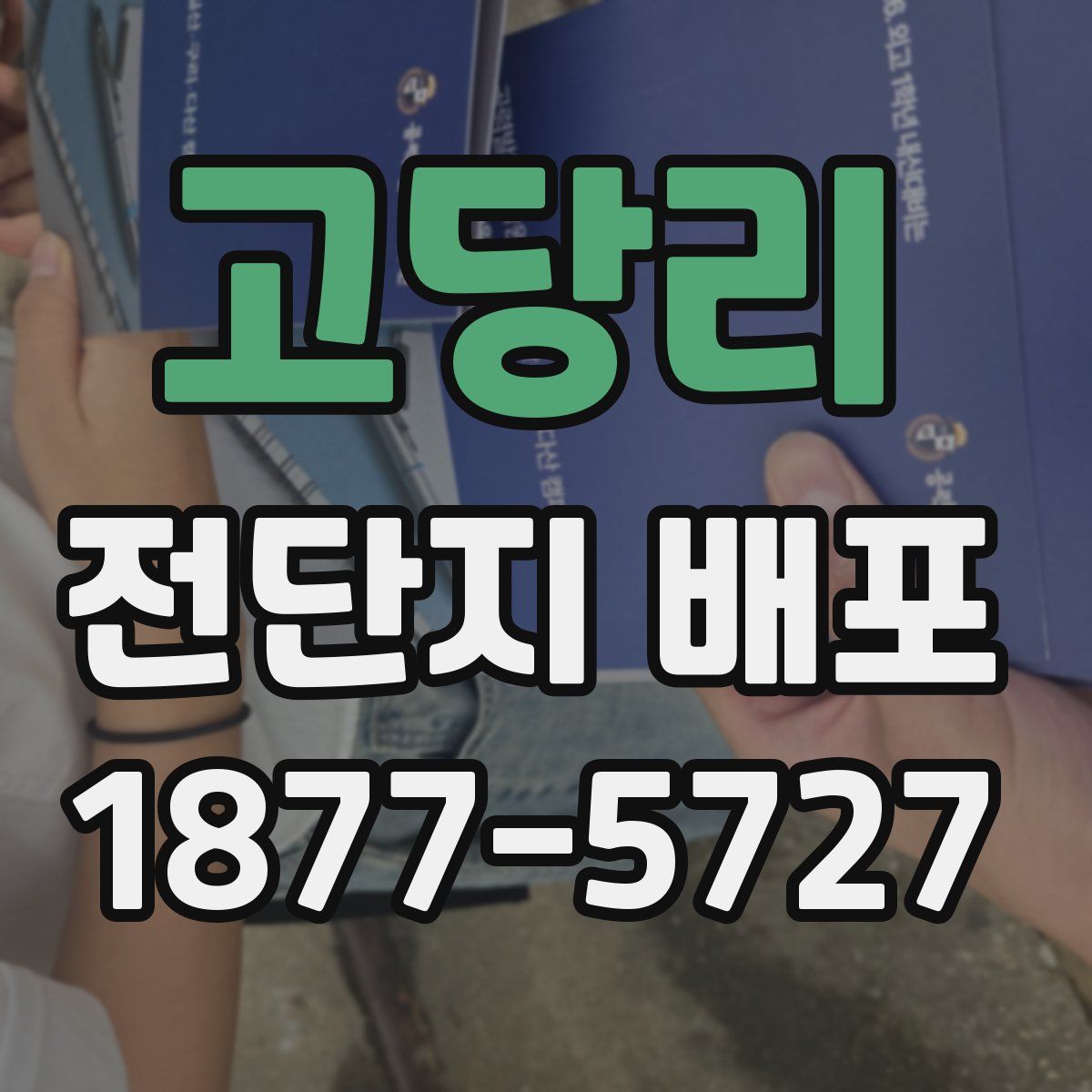 고당리 전단지 배포