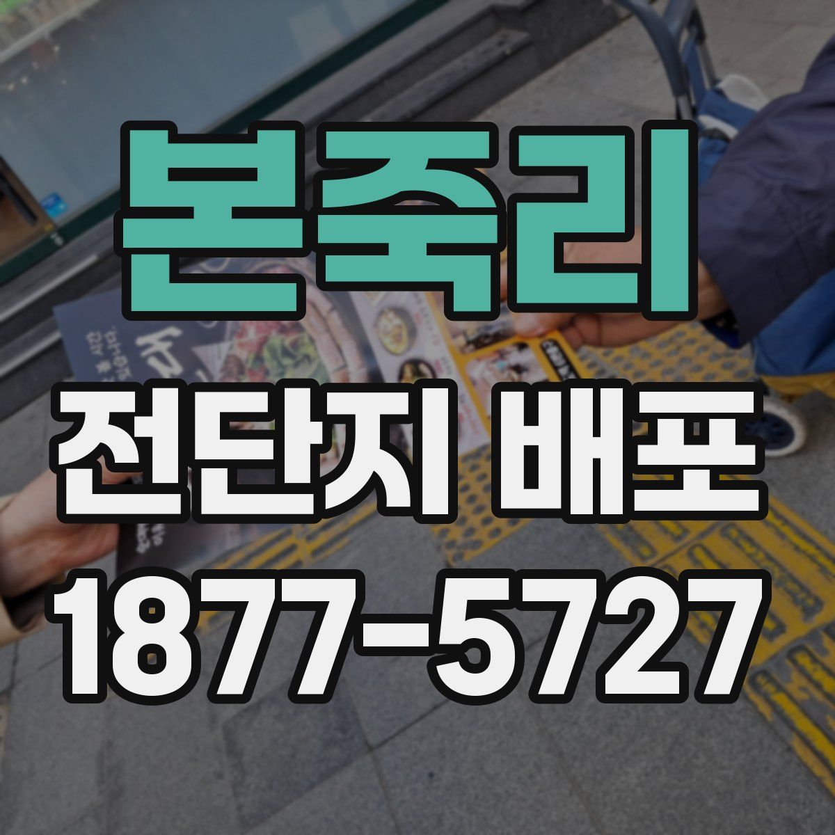 본죽리 전단지 배포