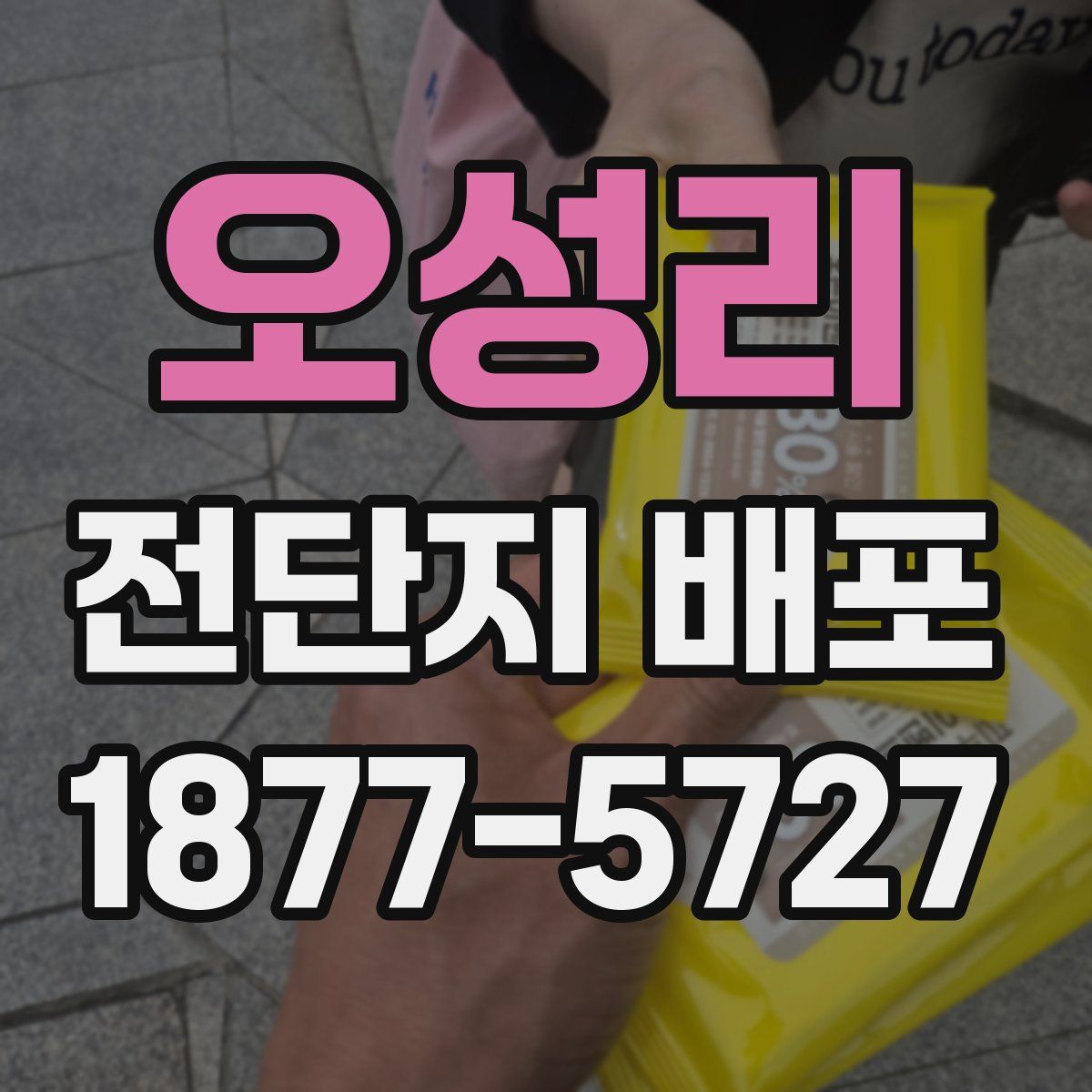 오성리 전단지 배포