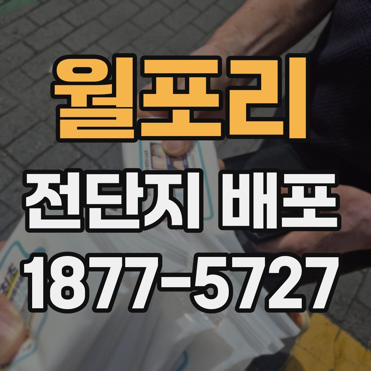 월포리 전단지 배포