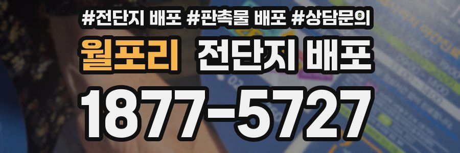 월포리 전단지 배포