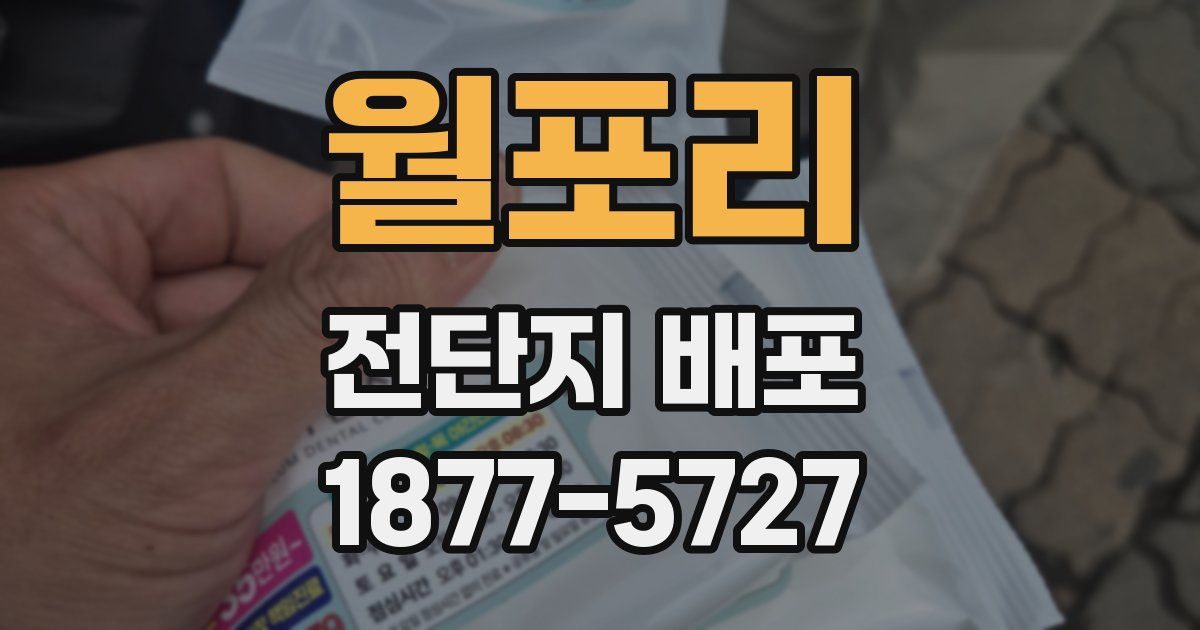 월포리 전단지 배포