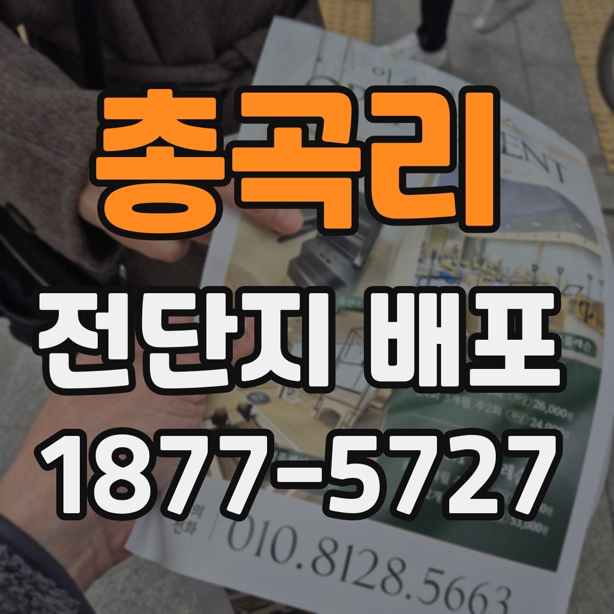 총곡리 전단지 배포