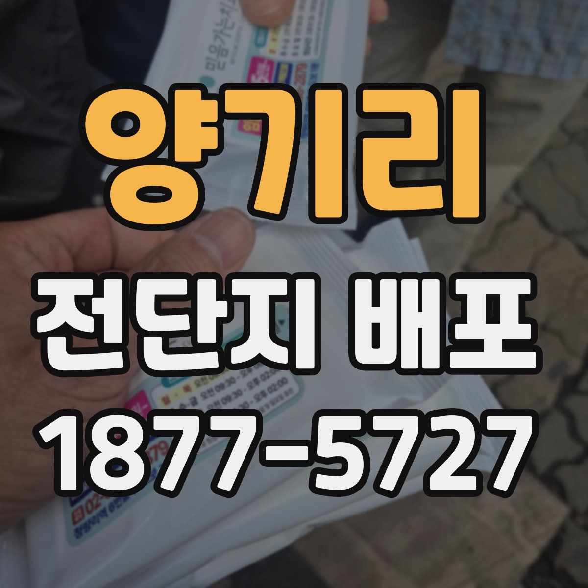 양기리 전단지 배포