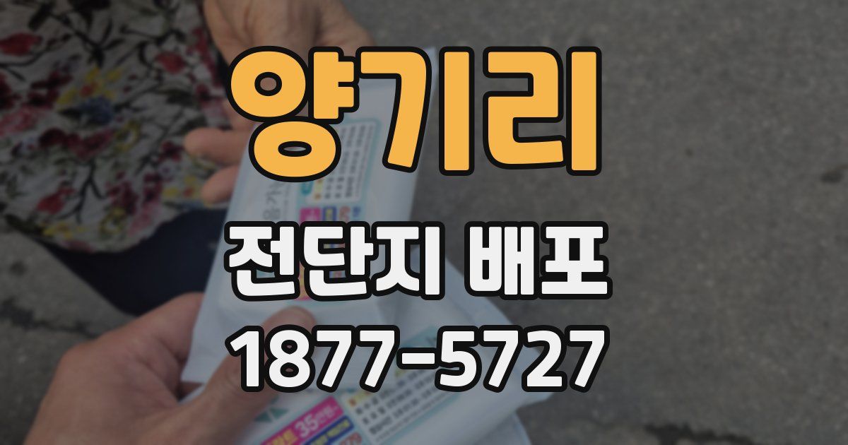 양기리 전단지 배포