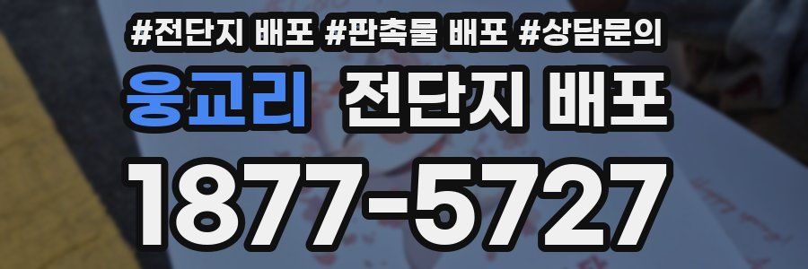웅교리 전단지 배포