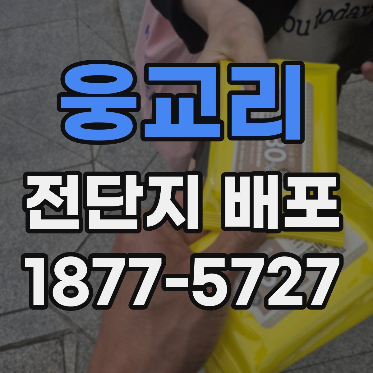 웅교리 전단지 배포