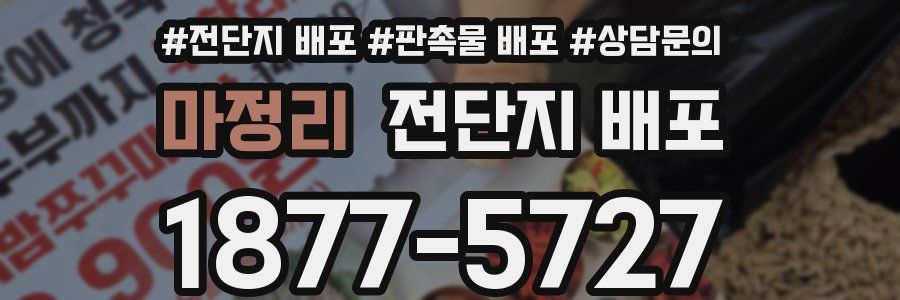 마정리 전단지 배포