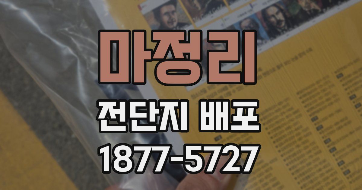 마정리 전단지 배포