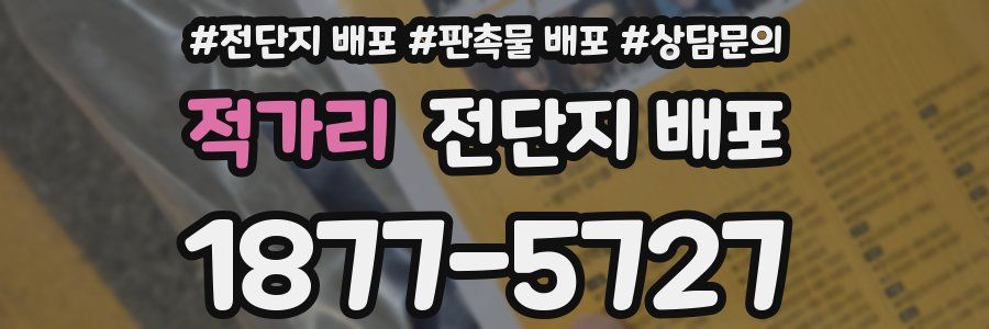 적가리 전단지 배포