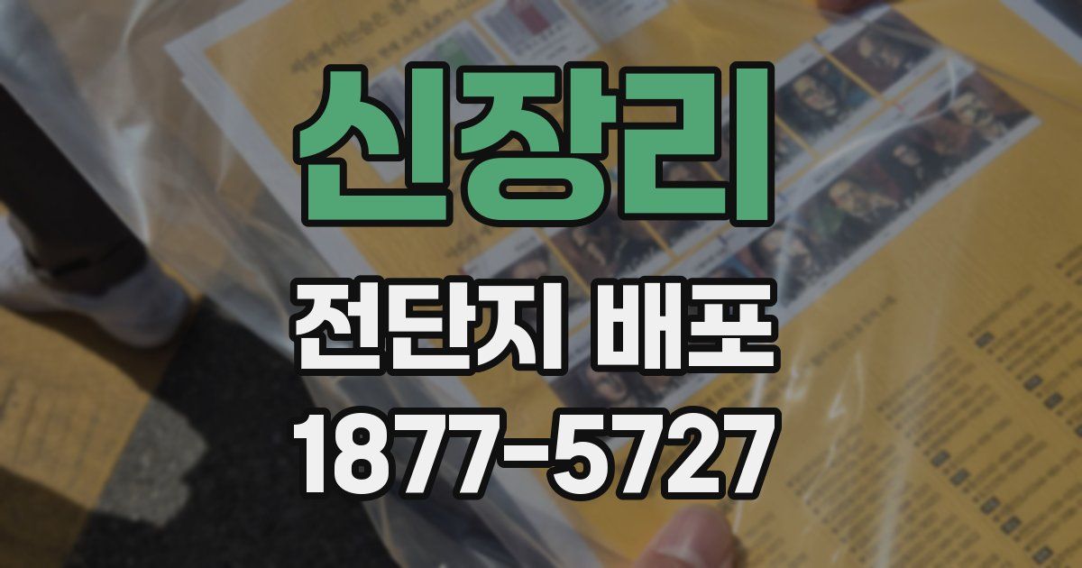 신장리 전단지 배포