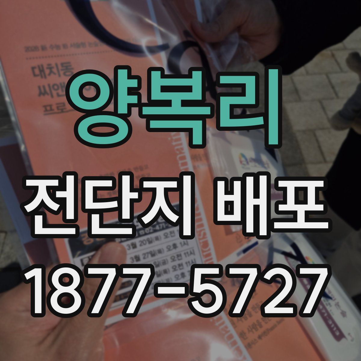 양복리 전단지 배포