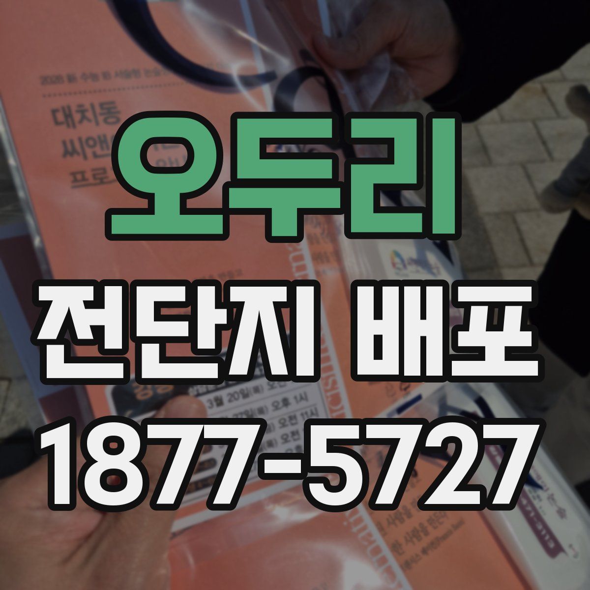 오두리 전단지 배포