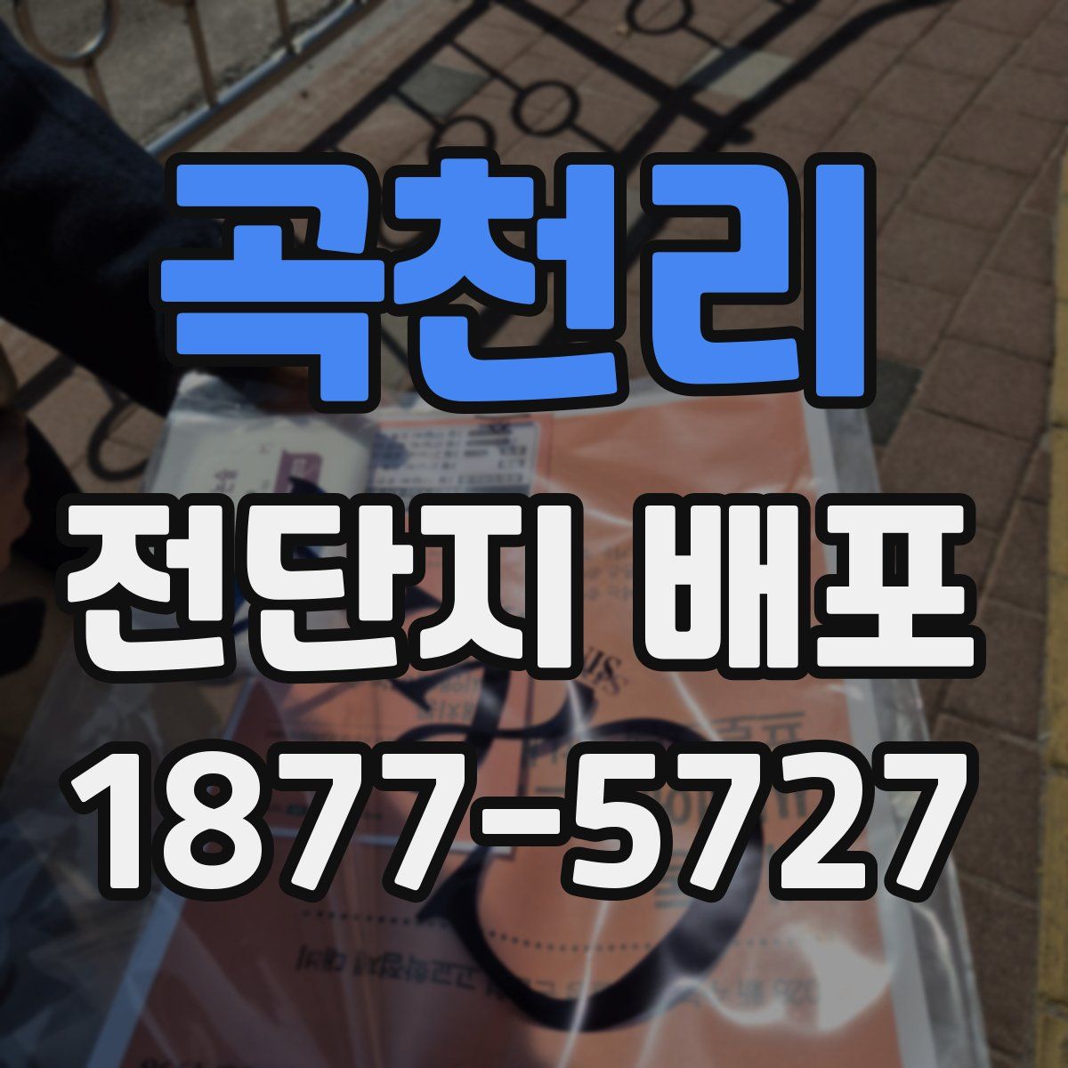 곡천리 전단지 배포