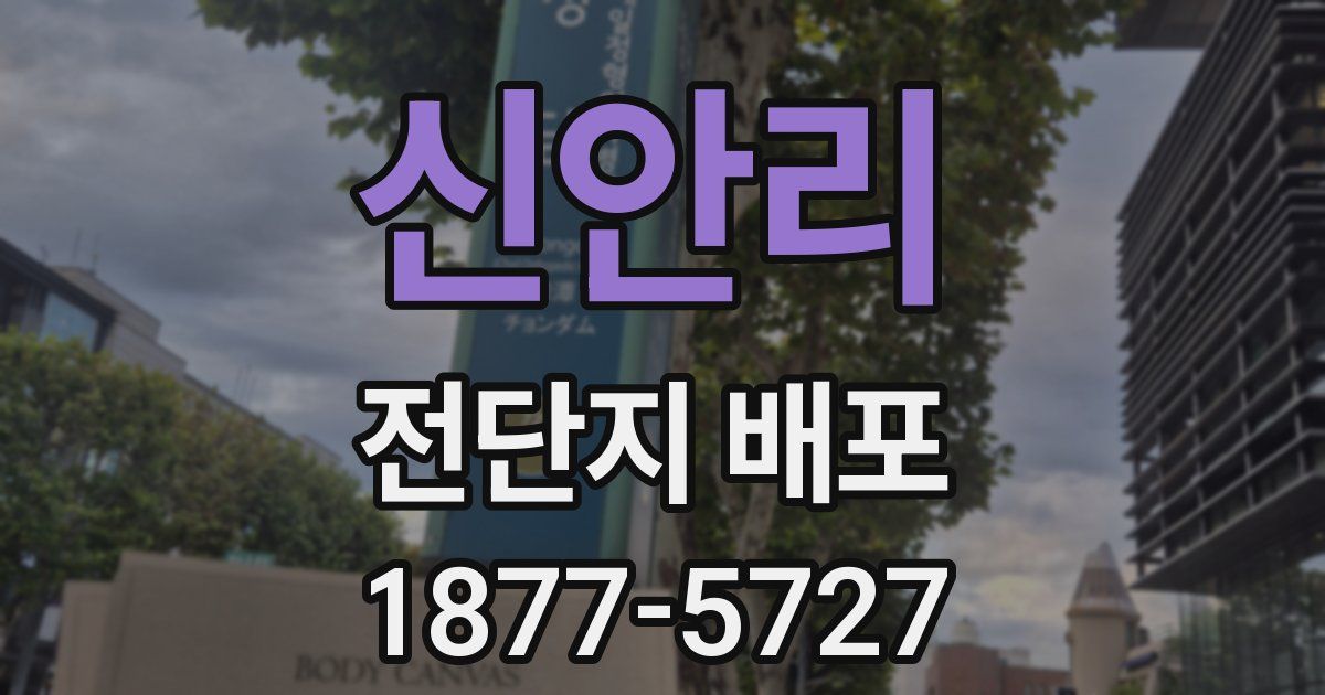 신안리 전단지 배포