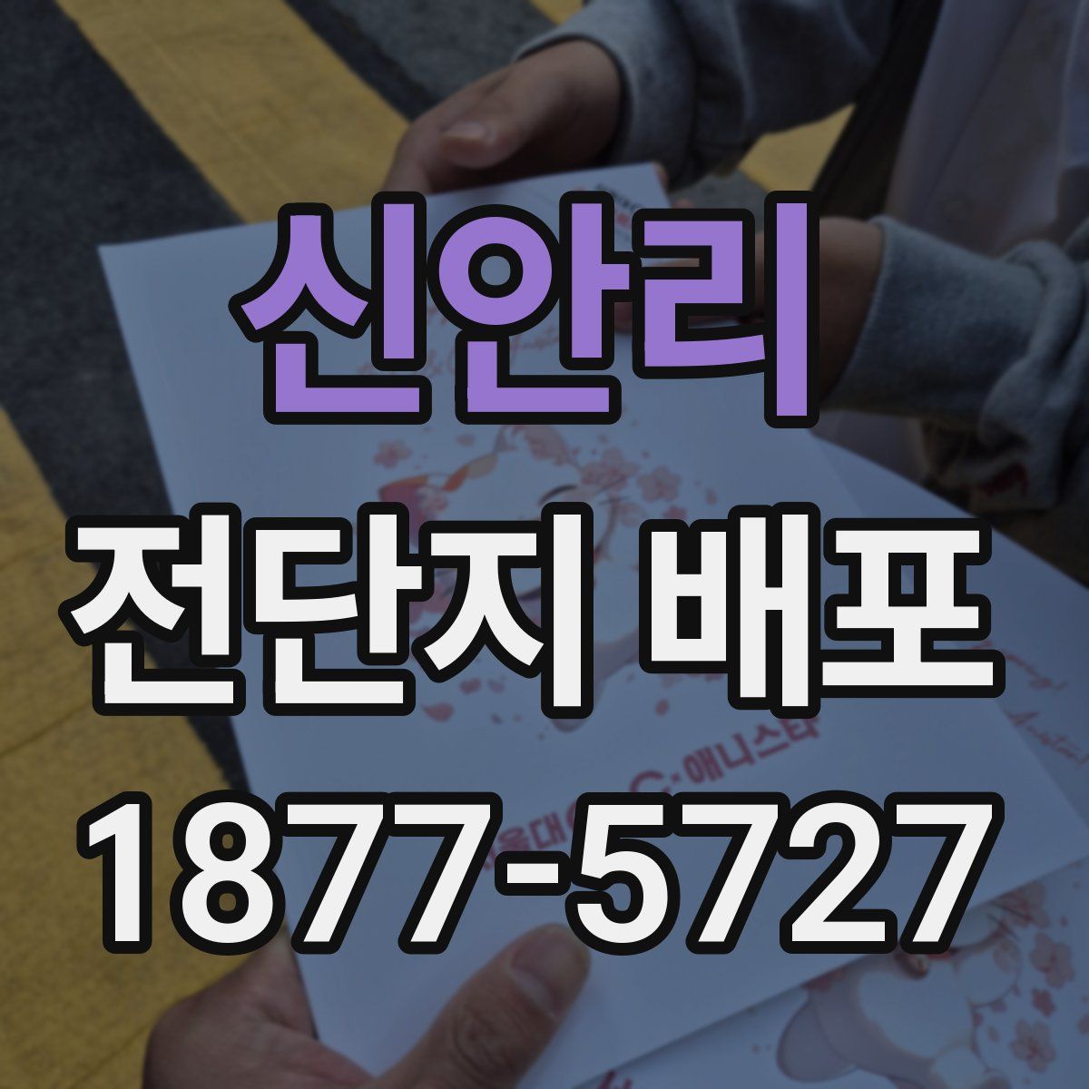 신안리 전단지 배포