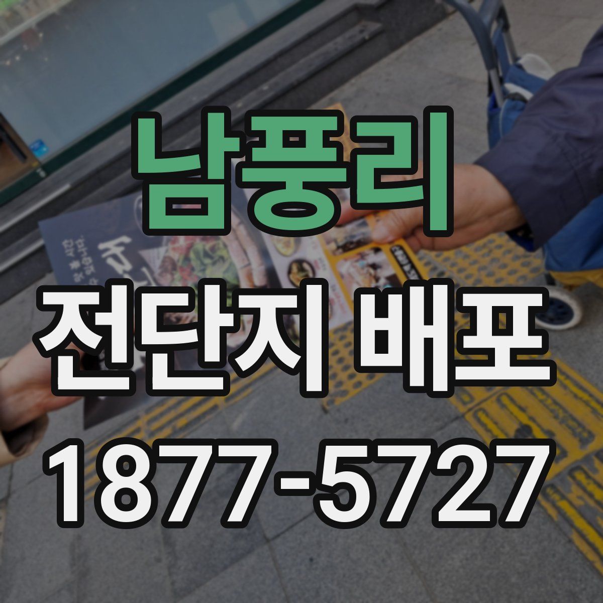 남풍리 전단지 배포