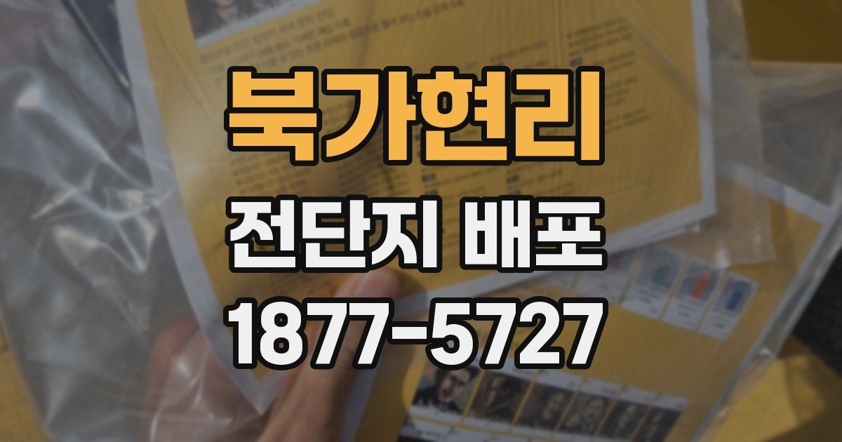 북가현리 전단지 배포