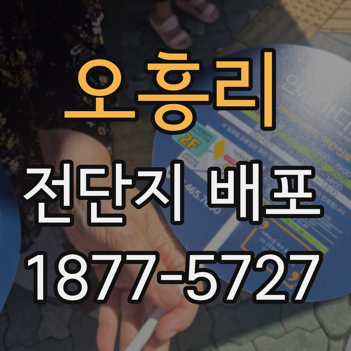 오흥리 전단지 배포